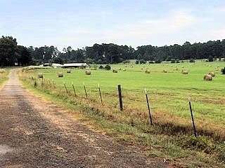 36.6 Acres of Agricultural Land for Sale in Palestine, Texas
