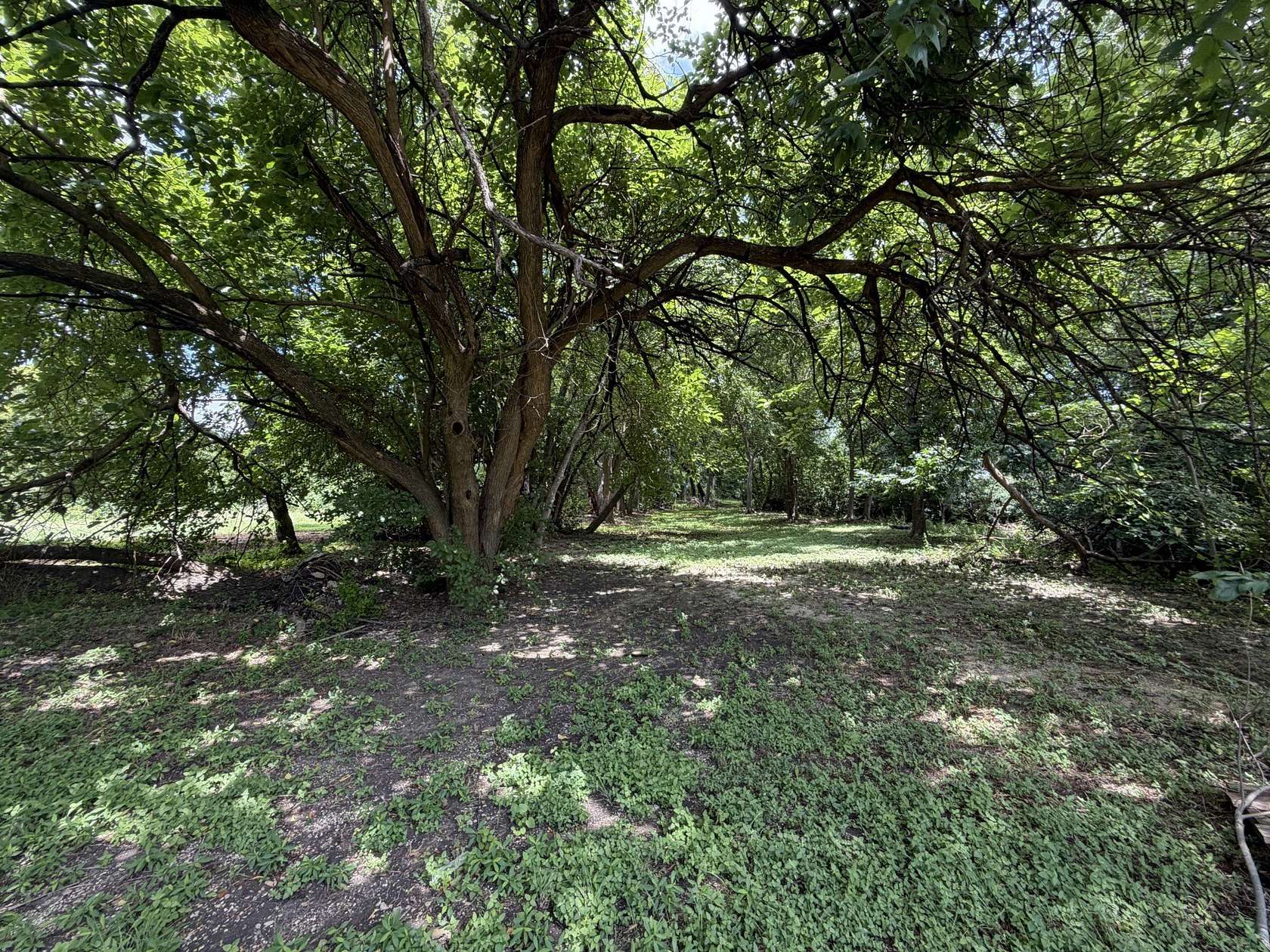 0.77 Acres of Residential Land for Sale in Beverly Hills, Texas