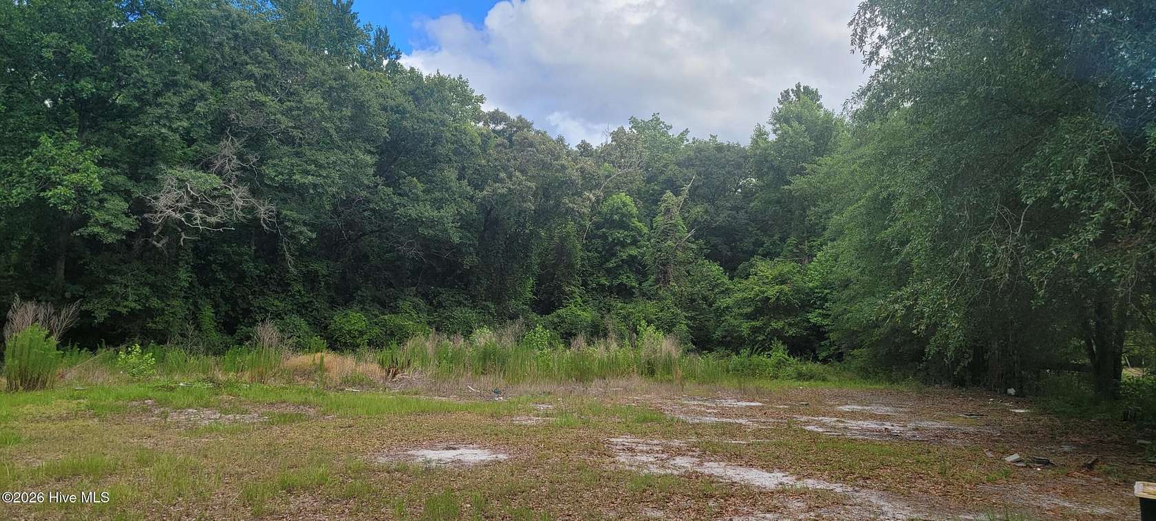 1 Acre of Residential Land for Sale in Currie, North Carolina