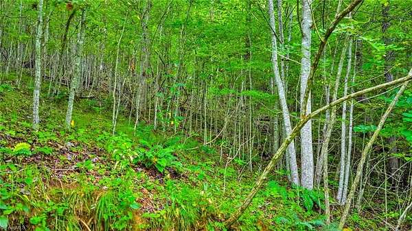 7.46 Acres of Land for Sale in Lansing, North Carolina