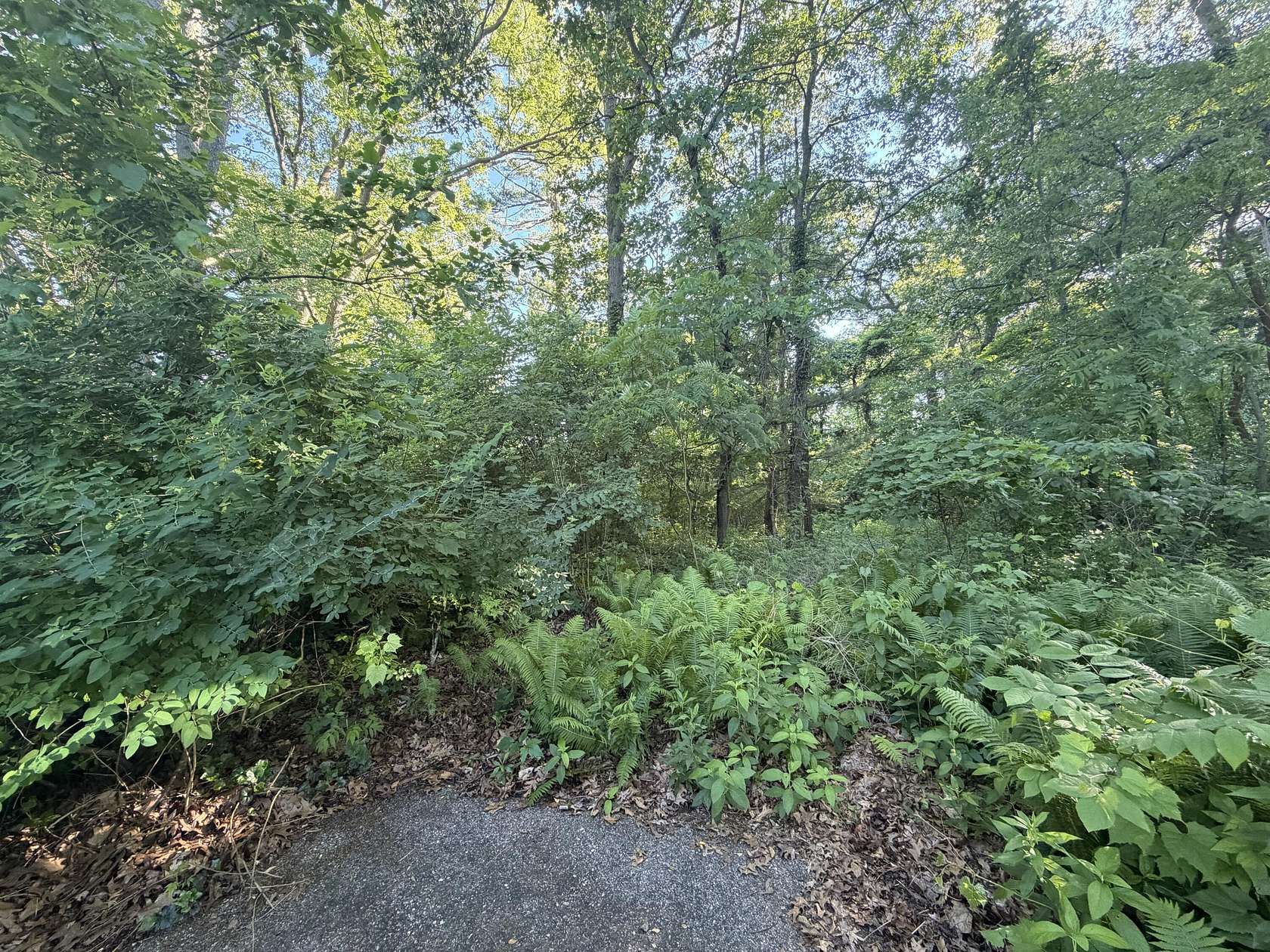 0.83 Acres of Residential Land for Sale in Hamilton, Michigan