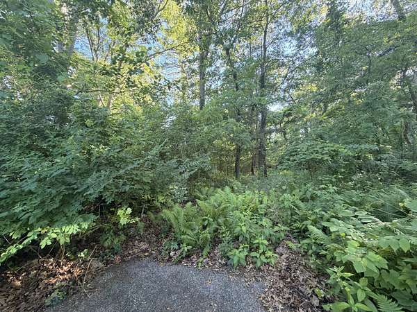 0.83 Acres of Residential Land for Sale in Hamilton, Michigan