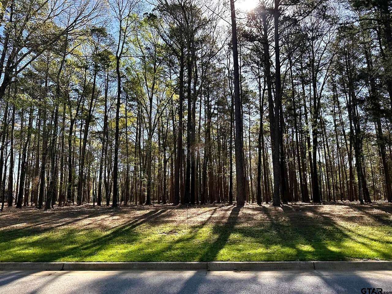 1.1 Acres of Residential Land for Sale in Tyler, Texas