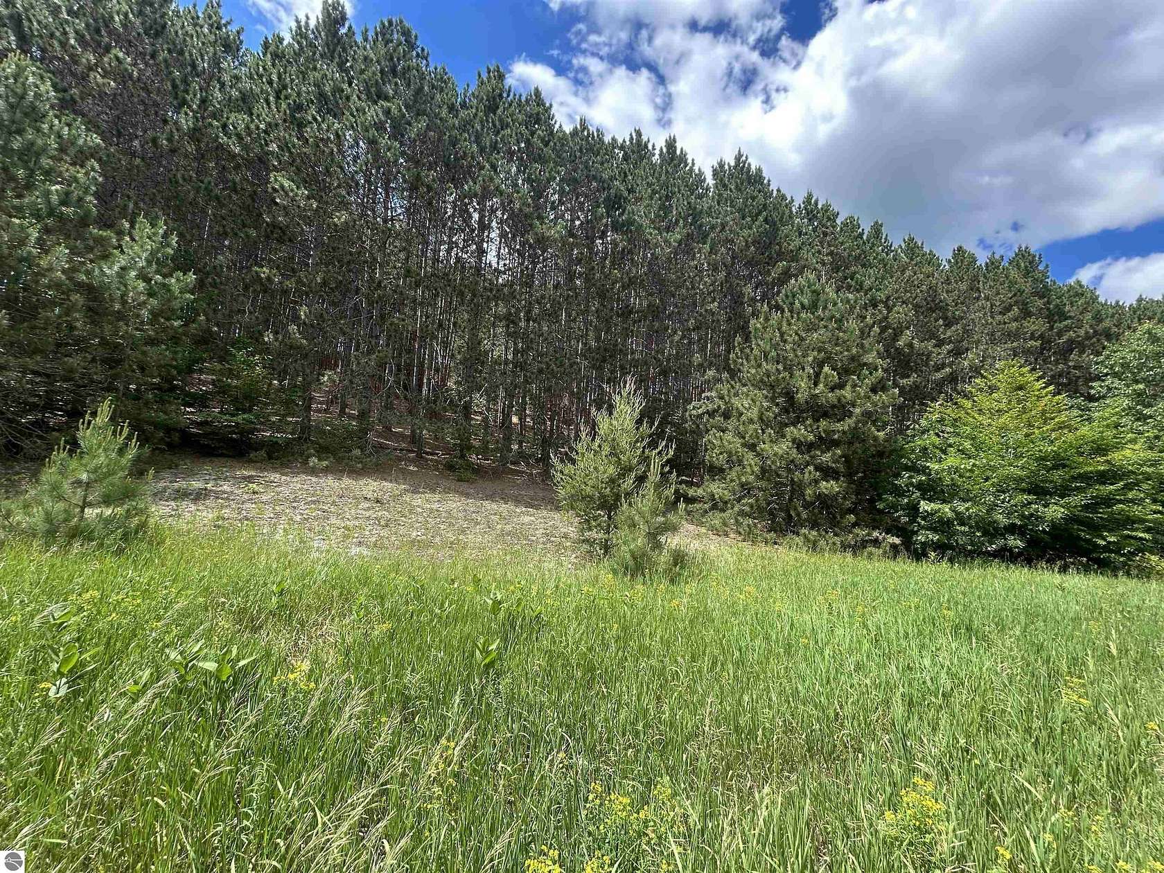 10.4 Acres of Land for Sale in Mancelona, Michigan
