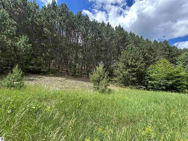 10.4 Acres of Land for Sale in Mancelona, Michigan