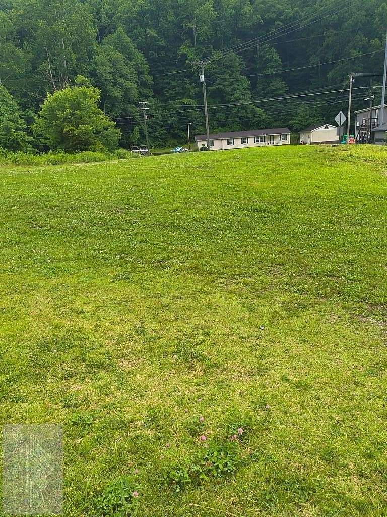 0.2 Acres of Residential Land for Sale in Coalwood, West Virginia