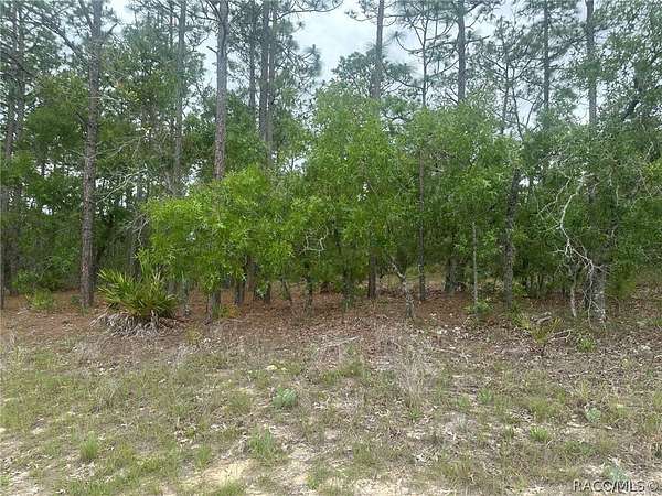 2.25 Acres of Land for Sale in Beverly Hills, Florida