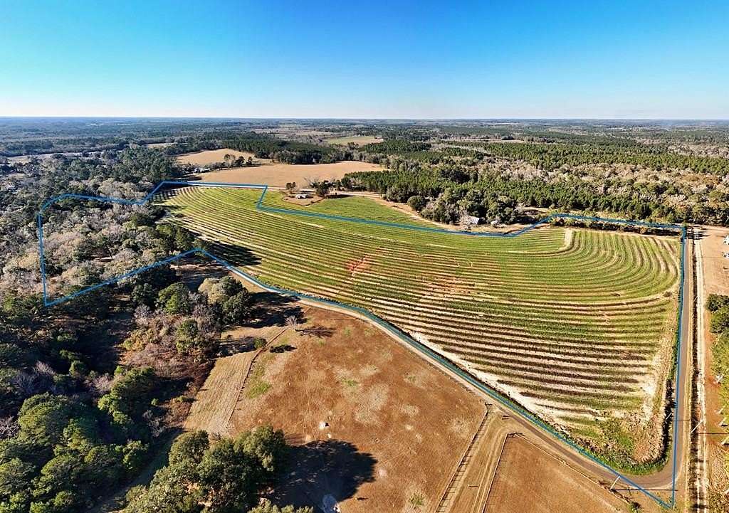 43.1 Acres of Recreational Land for Sale in Whigham, Georgia