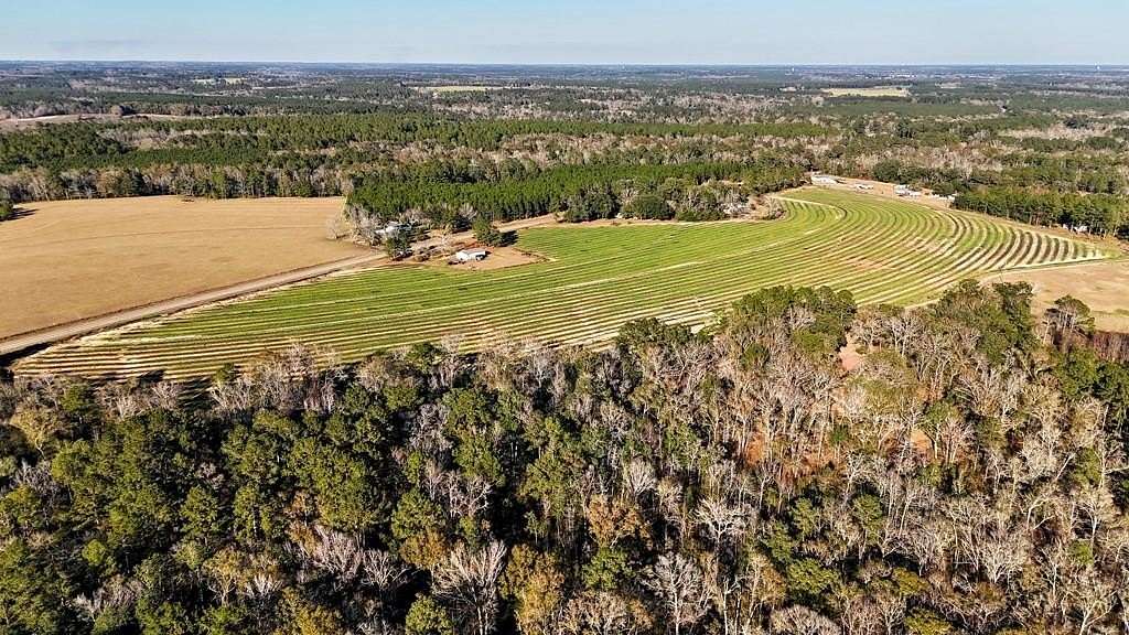 43.1 Acres of Recreational Land for Sale in Whigham, Georgia