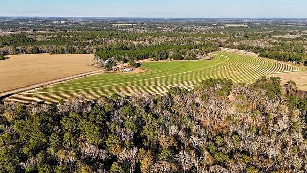 43.1 Acres of Recreational Land for Sale in Whigham, Georgia