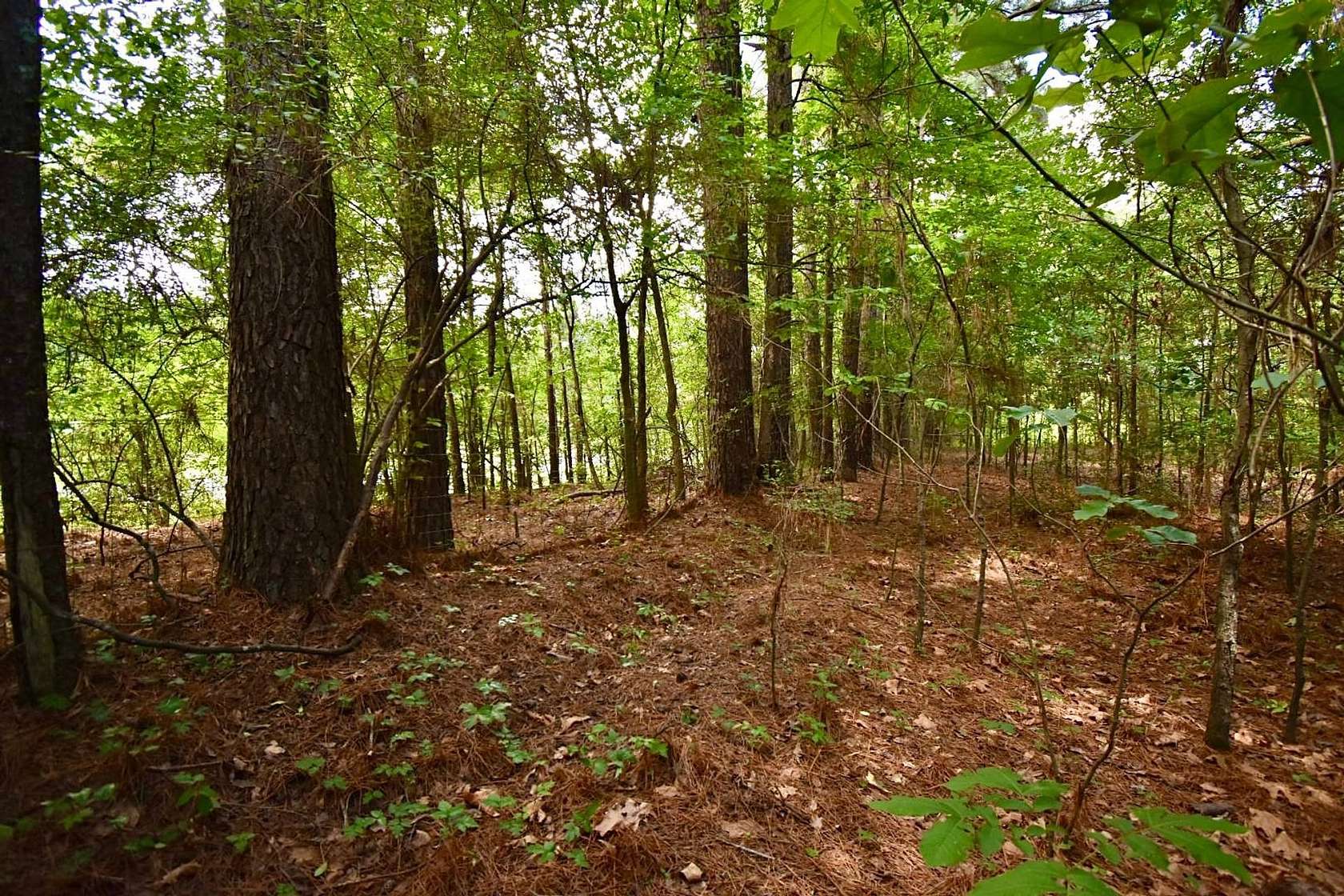 20 Acres of Recreational & Residential Land for Sale in Texarkana, Arkansas