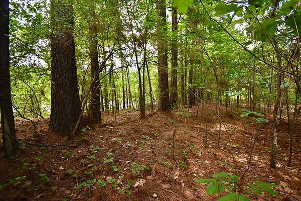 20 Acres of Recreational & Residential Land for Sale in Texarkana, Arkansas