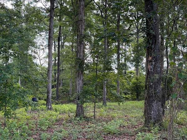 420 Acres of Recreational Land for Sale in Downsville, Louisiana