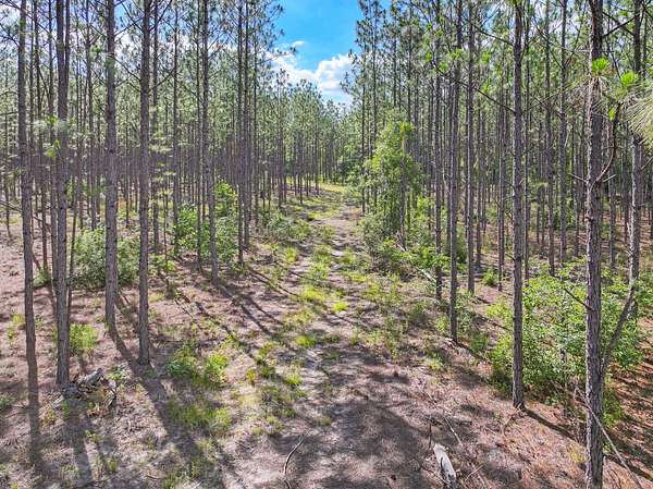 140 Acres of Recreational Land for Sale in Madison, Florida