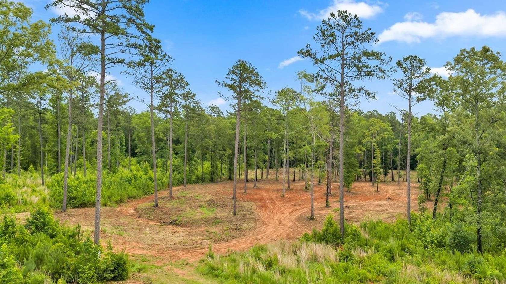 11.2 Acres of Land for Sale in Forsyth, Georgia