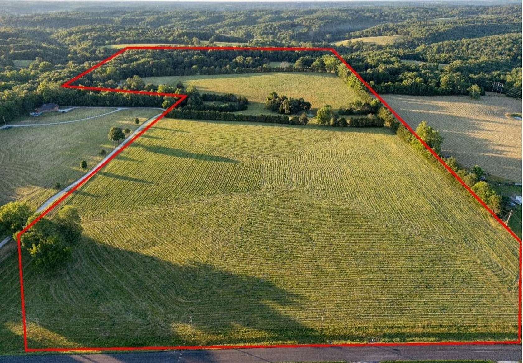 65 Acres of Land for Sale in Highlandville, Missouri