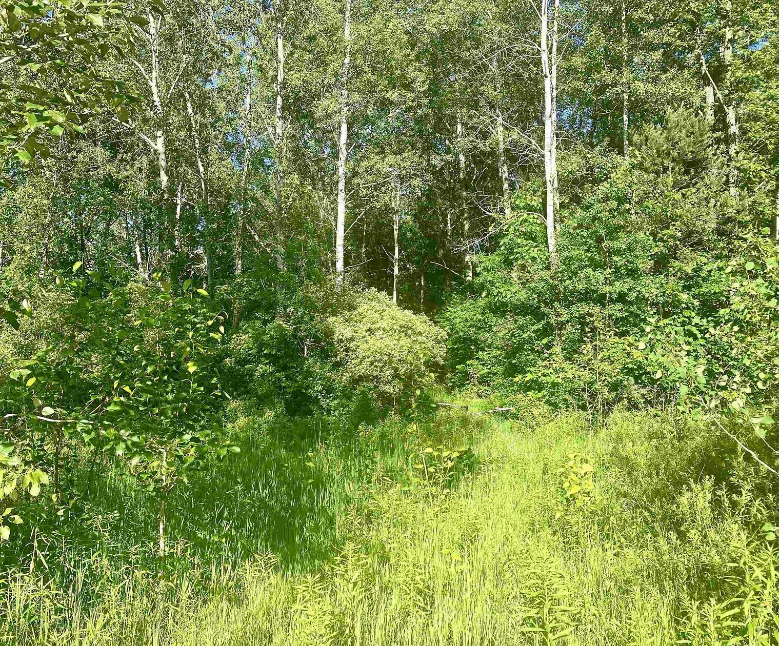 1.4 Acres of Land for Sale in Harrison, Michigan
