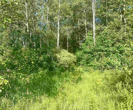 1.4 Acres of Land for Sale in Harrison, Michigan