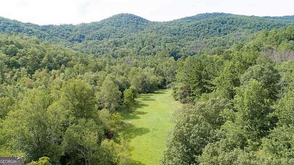 33 Acres of Land for Sale in Dillard, Georgia