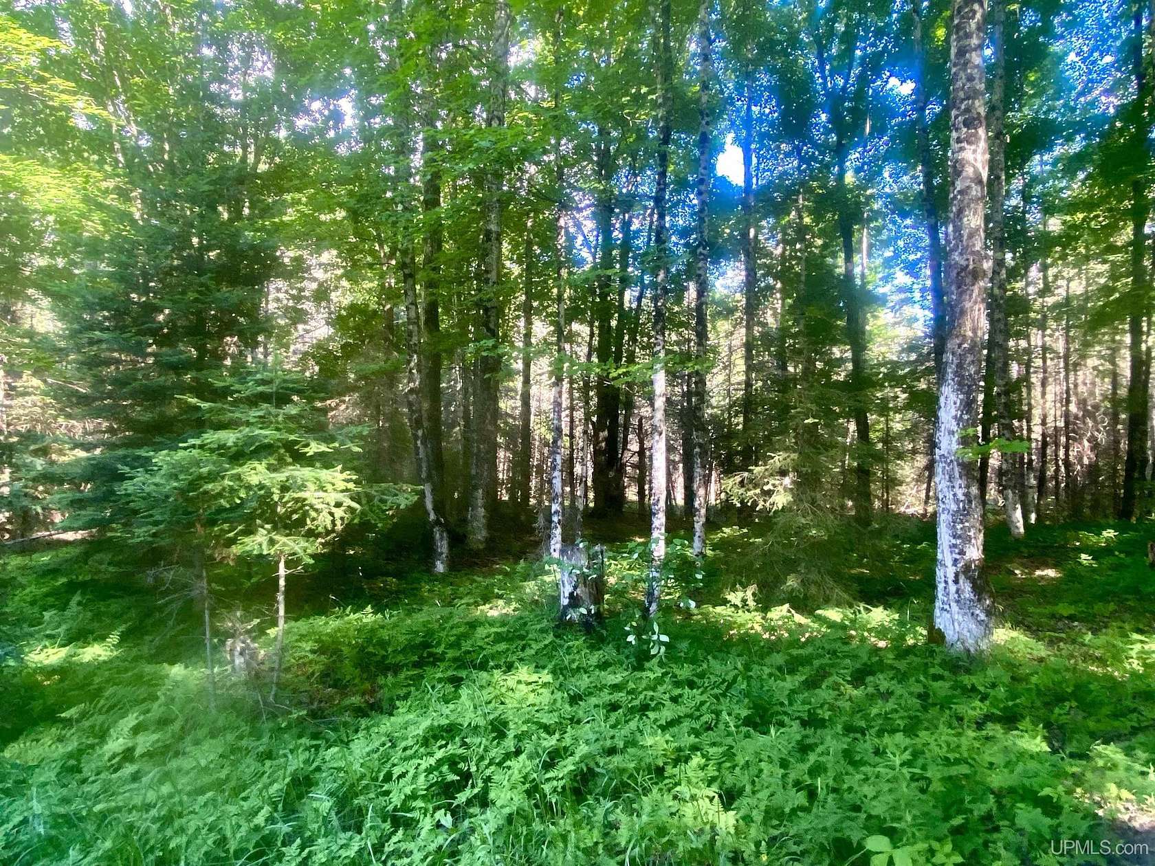 5.77 Acres of Land for Sale in Cornell, Michigan