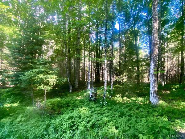 5.77 Acres of Land for Sale in Cornell, Michigan