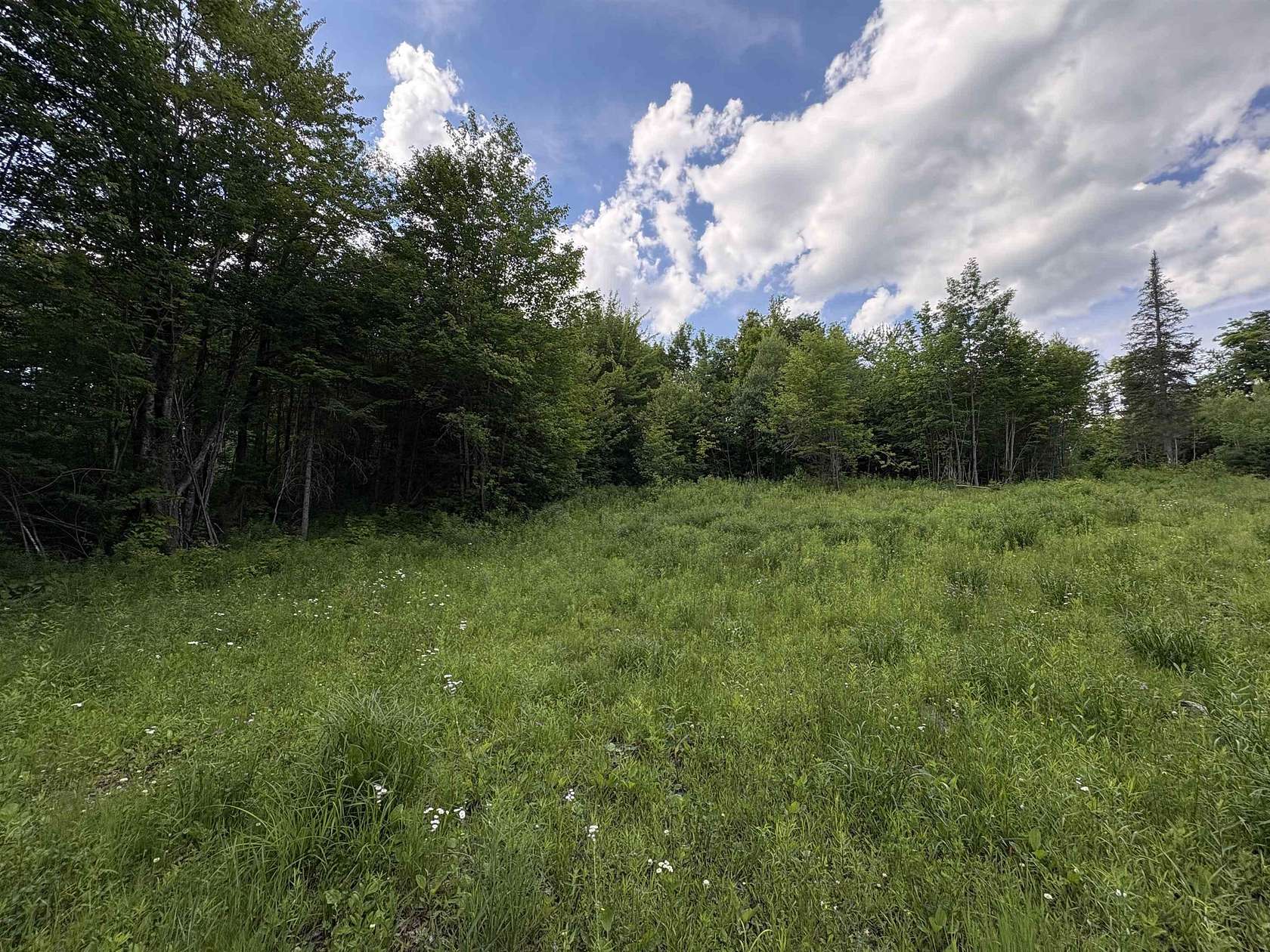 10.1 Acres of Land for Sale in Sheffield, Vermont
