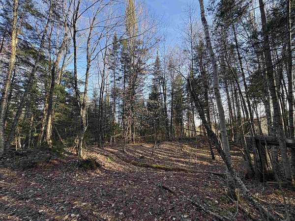 10.1 Acres of Land for Sale in Sheffield, Vermont