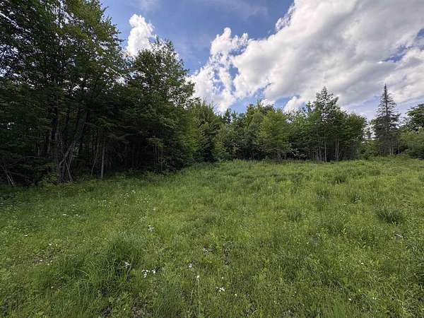 10.1 Acres of Land for Sale in Sheffield, Vermont