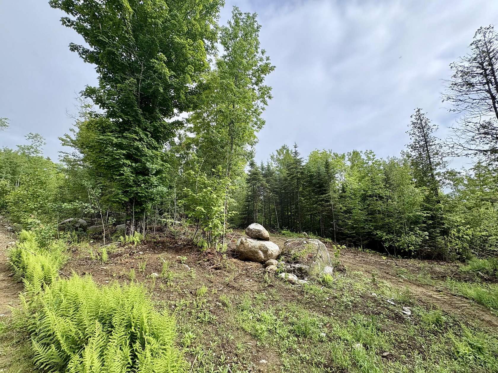 1 Acre of Residential Land for Sale in Lee, Maine
