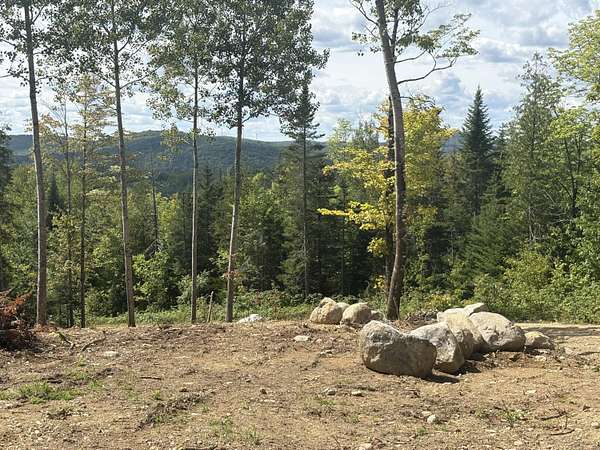 1 Acre of Residential Land for Sale in Lee, Maine
