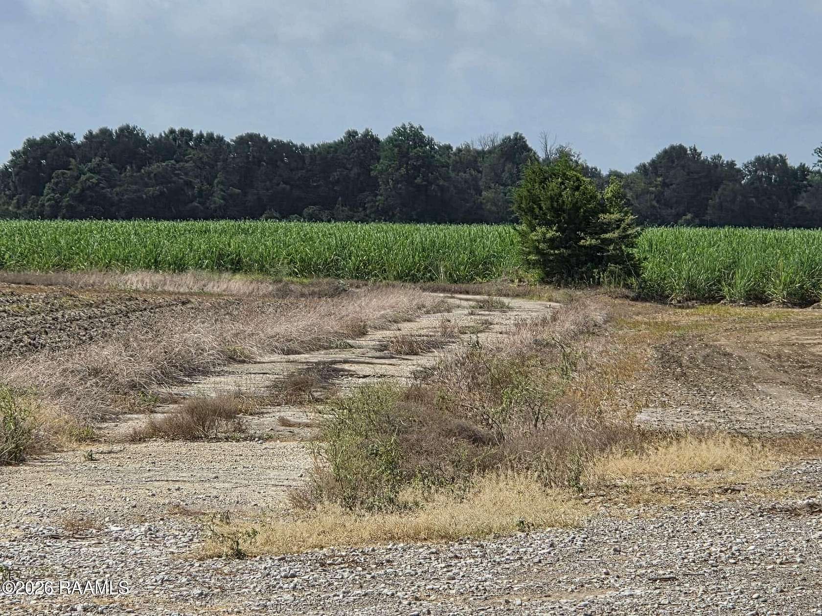 7.85 Acres of Residential Land for Sale in Youngsville, Louisiana