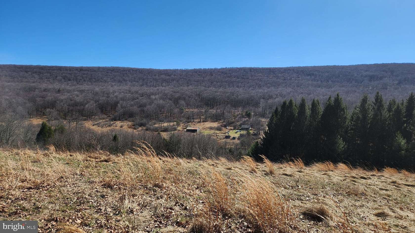 69.6 Acres of Land with Home for Sale in Swanton, Maryland