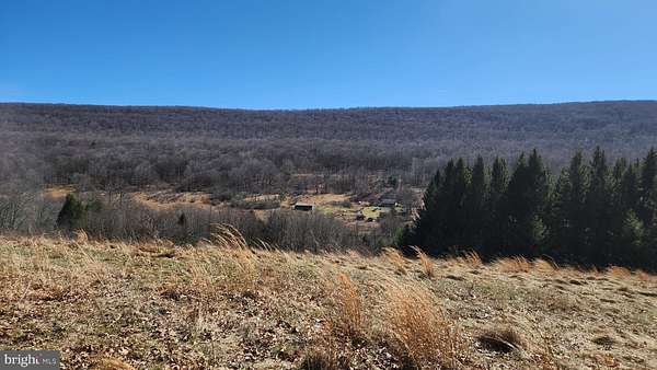 69.6 Acres of Land with Home for Sale in Swanton, Maryland