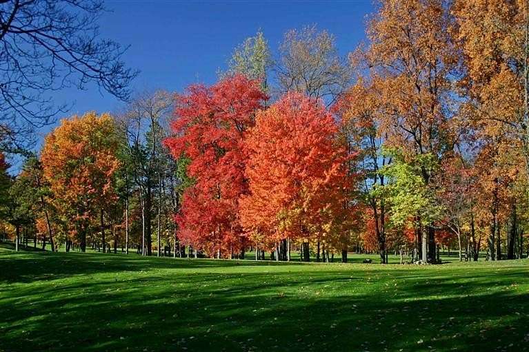 0.5 Acres of Residential Land for Sale in Augusta, Michigan