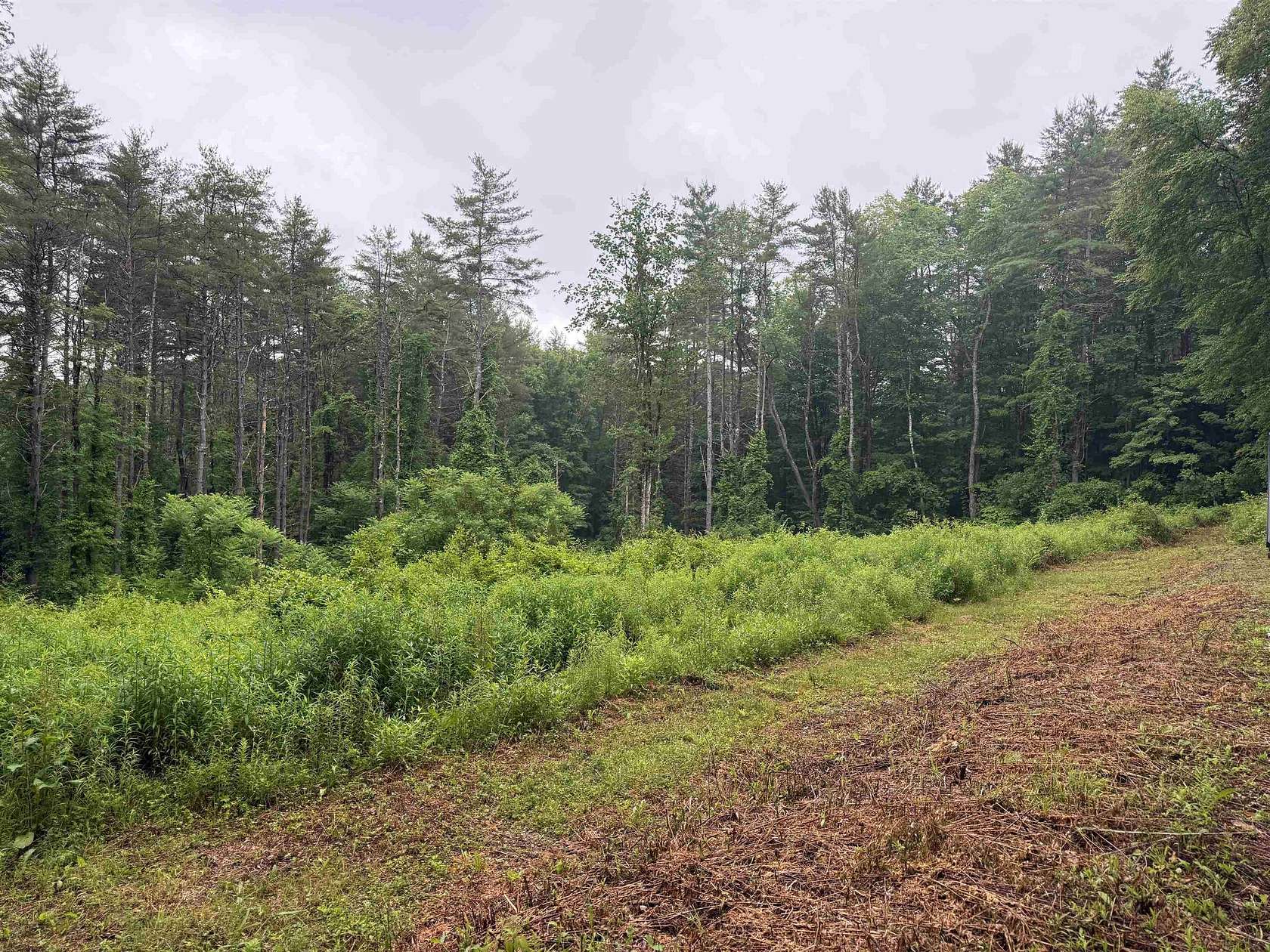 4.59 Acres of Land for Sale in Putney, Vermont