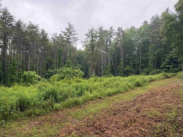 4.59 Acres of Land for Sale in Putney, Vermont