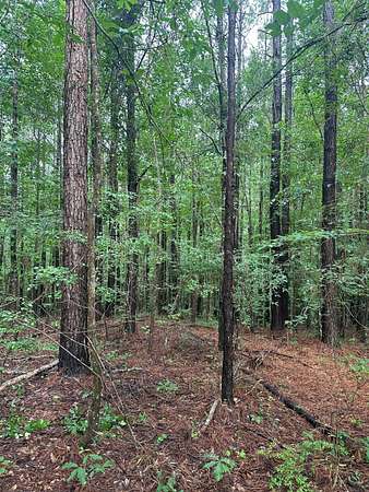 10 Acres of Land for Sale in Cuba, Alabama