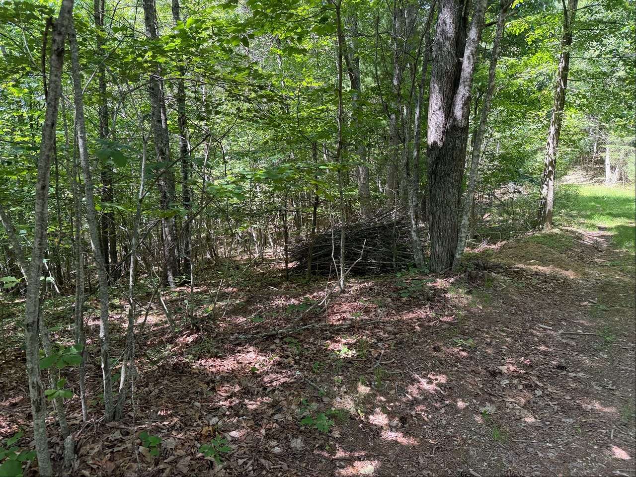 63.6 Acres of Recreational & Residential Land for Sale in Riner, Virginia