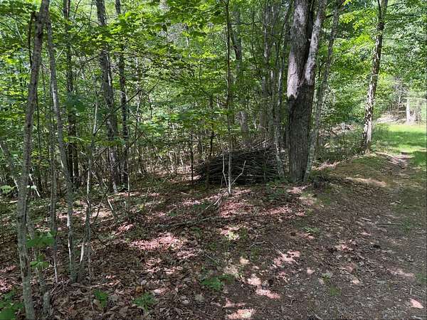 63.6 Acres of Recreational & Residential Land for Sale in Riner, Virginia
