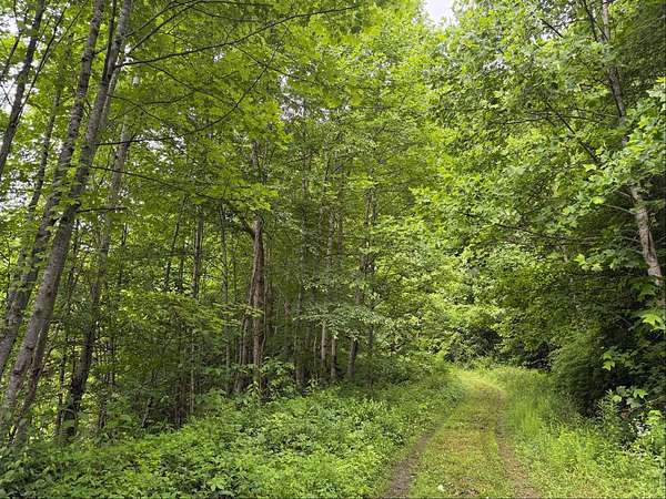 68.8 Acres of Land for Sale in Raven, Virginia