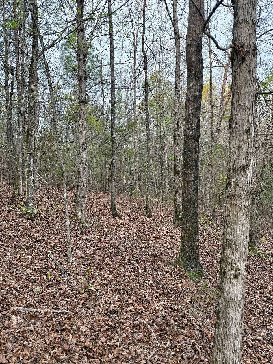 19.5 Acres of Recreational Land for Sale in Preston, Mississippi