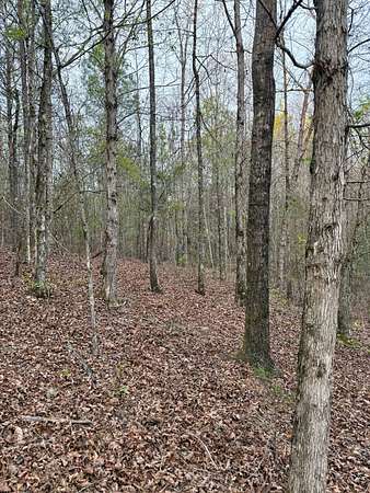19.5 Acres of Recreational Land for Sale in Preston, Mississippi