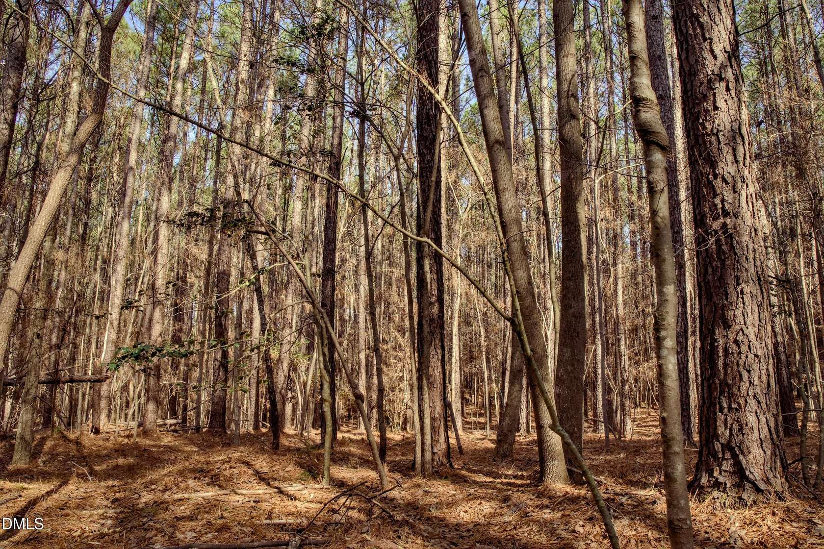 10 Acres of Land for Sale in Chapel Hill, North Carolina