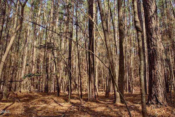10 Acres of Land for Sale in Chapel Hill, North Carolina
