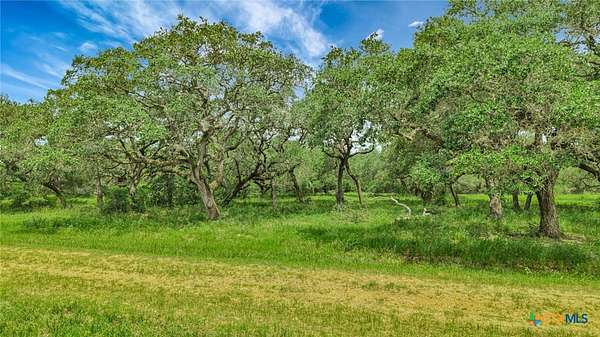 67 Acres of Land for Sale in Inez, Texas