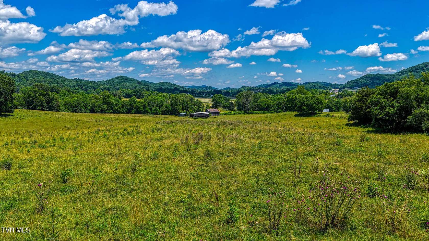 94.9 Acres of Land for Sale in Rogersville, Tennessee