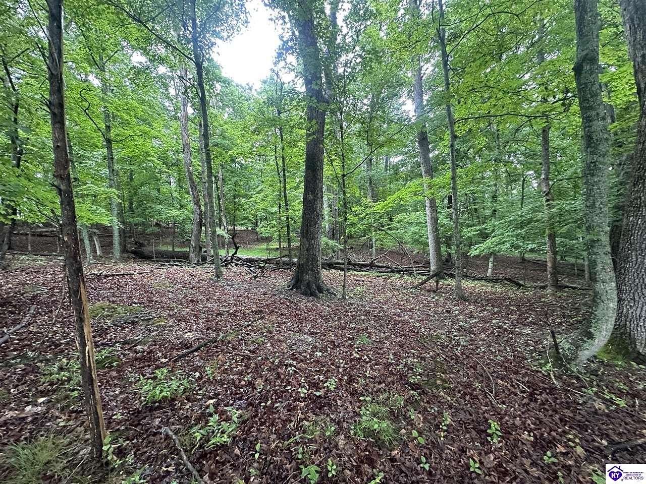 0.25 Acres of Residential Land for Sale in Brandenburg, Kentucky