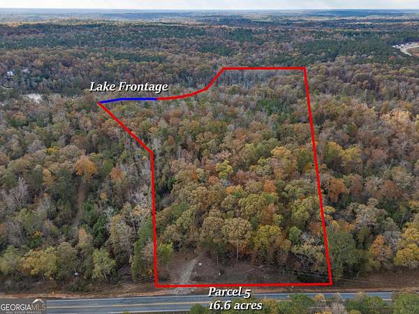 16.6 Acres of Land for Sale in Covington, Georgia