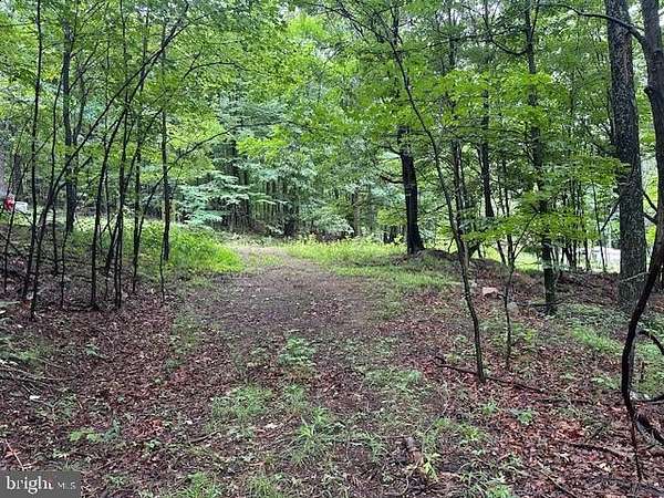 2 Acres of Residential Land for Sale in Romney, West Virginia