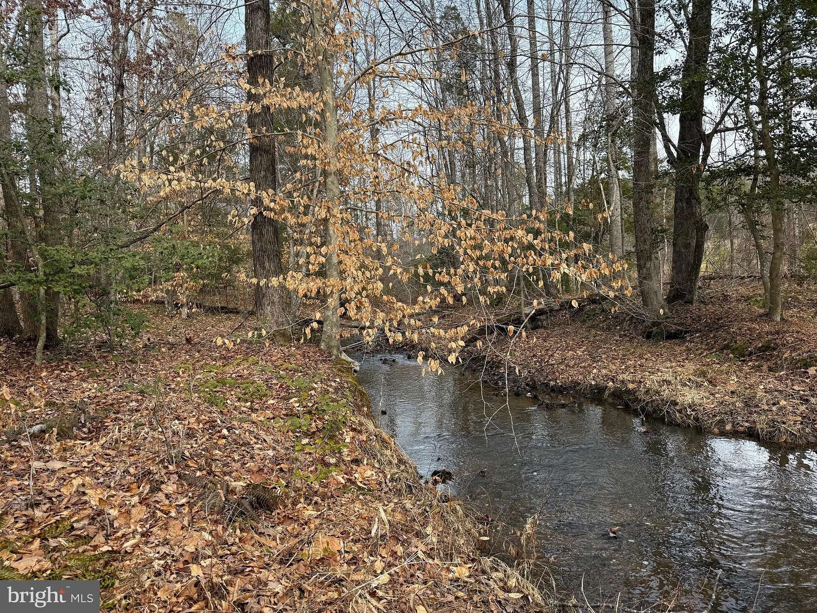 35 Acres of Recreational & Residential Land for Sale in Kents Store, Virginia